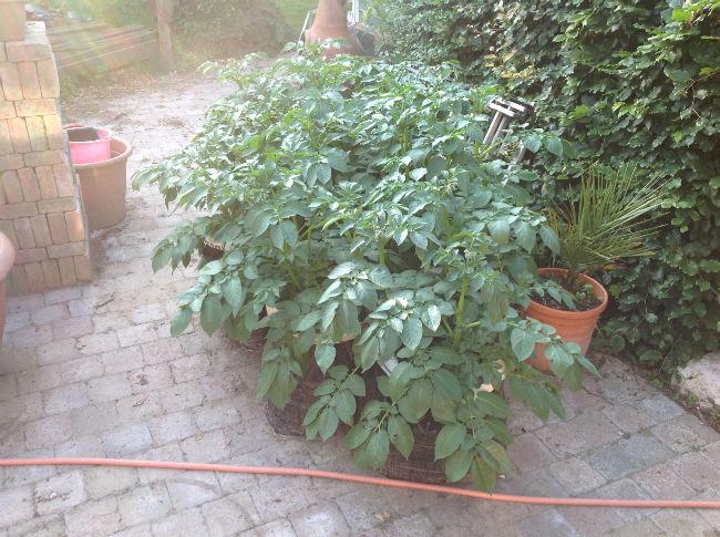 foto37571401644718.JPG