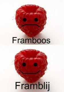 framboos-blij75981328819910.jpg