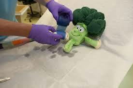 gebroken-brocoli88081423854322.jpg