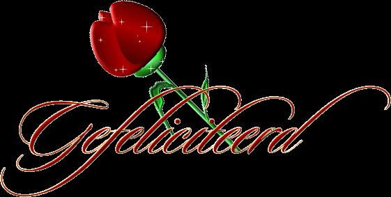 gefeliciteerd03263031359419444.gif