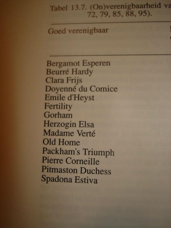 goed-182981454702448.JPG