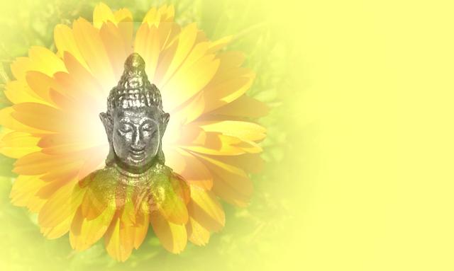 goudsbloem-met-boeddha-geel69401338228624.jpg
