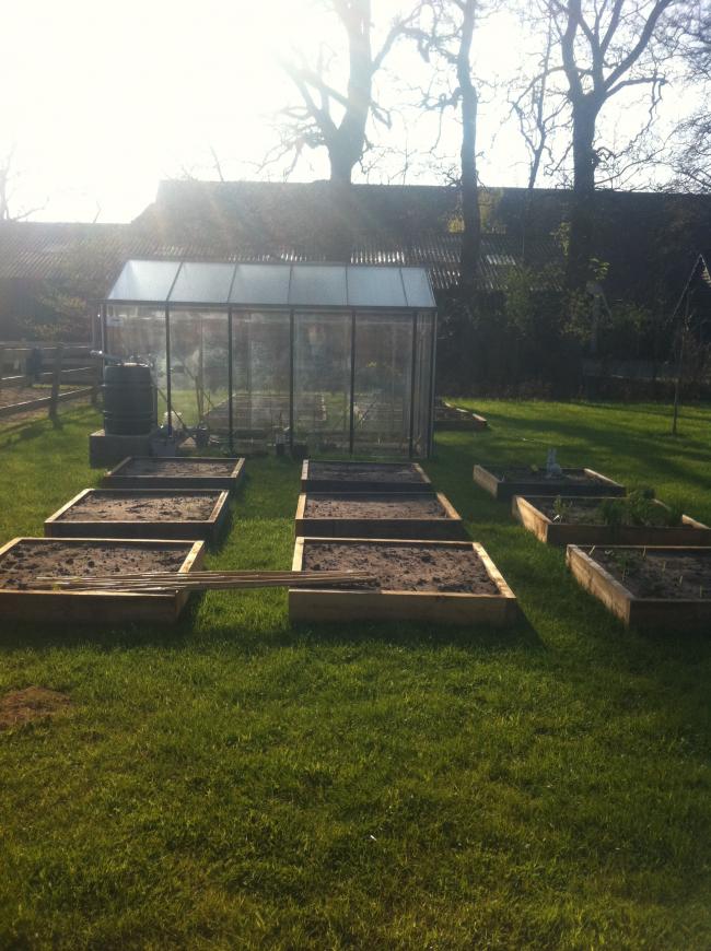 groentetuin-1-mei-201348751367428234.JPG
