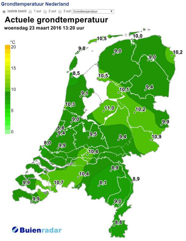 grondtemp46221458736560.JPG