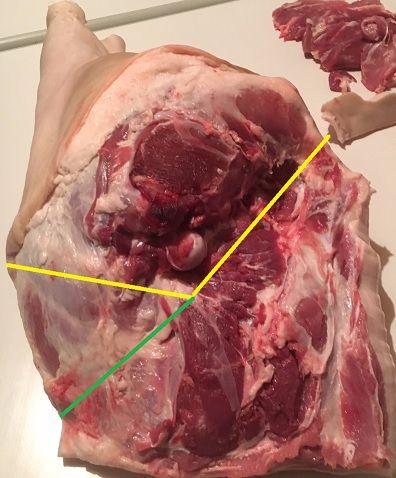 ham-lotte70311509036887.jpg