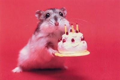 happy-birthday-mouse78241339493658.jpg