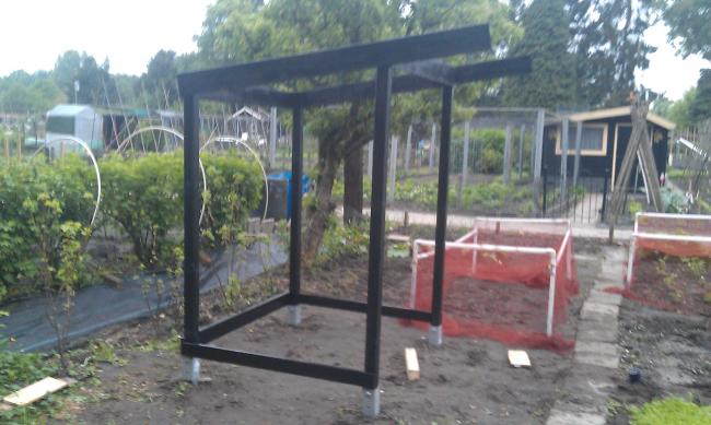 htc-desire-tuin-(-tomaten-enzo-)-06689361368970224.jpg