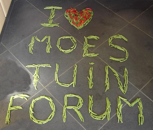 ilovemoestuinforum49511344970855.jpg