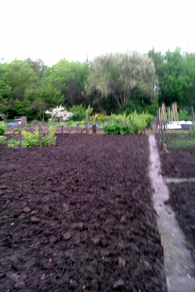 imag040115821336160623.jpg