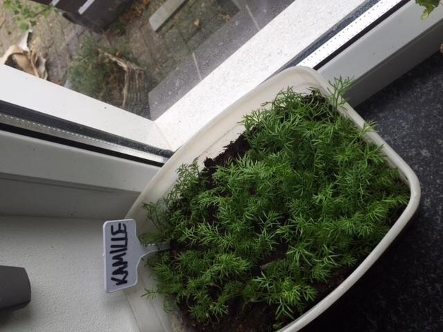 image12731461014794.jpeg