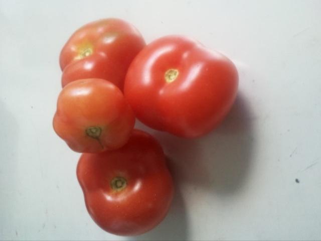 image14371375964255.jpg