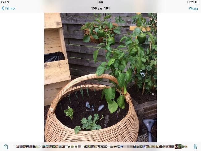 image17001407336529.jpg
