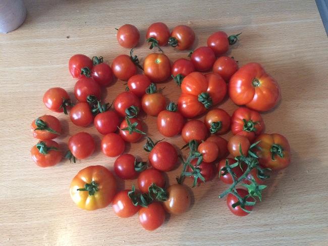 image18941472416318.jpeg