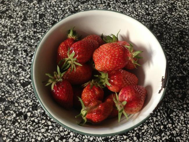 image23931401128374.jpg