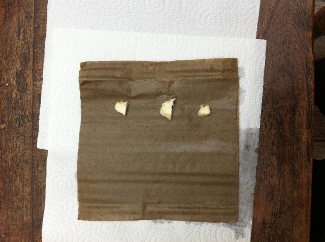 image24291399731746.jpg