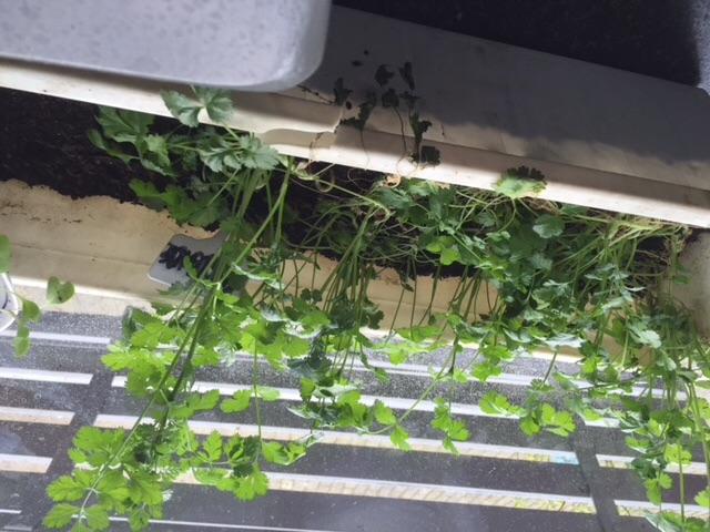 image26251461014792.jpeg