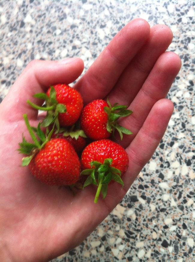image26891437065055.jpg