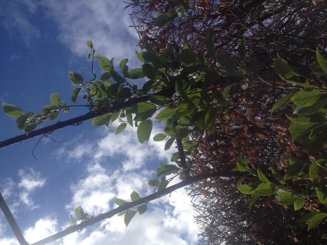 image27941397901082.jpg