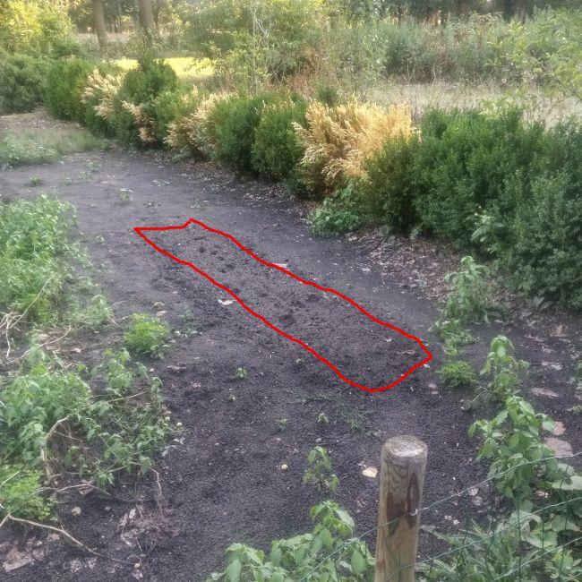 image28721534592519.jpg