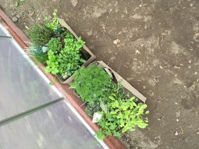 image30121461014832.jpeg