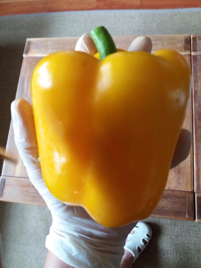image33691535198786.jpeg