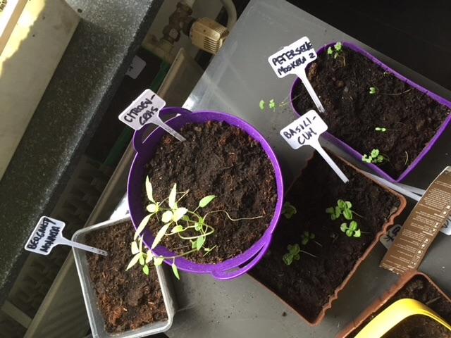 image35411461014796.jpeg