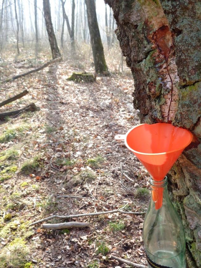 image35421428947148.jpg