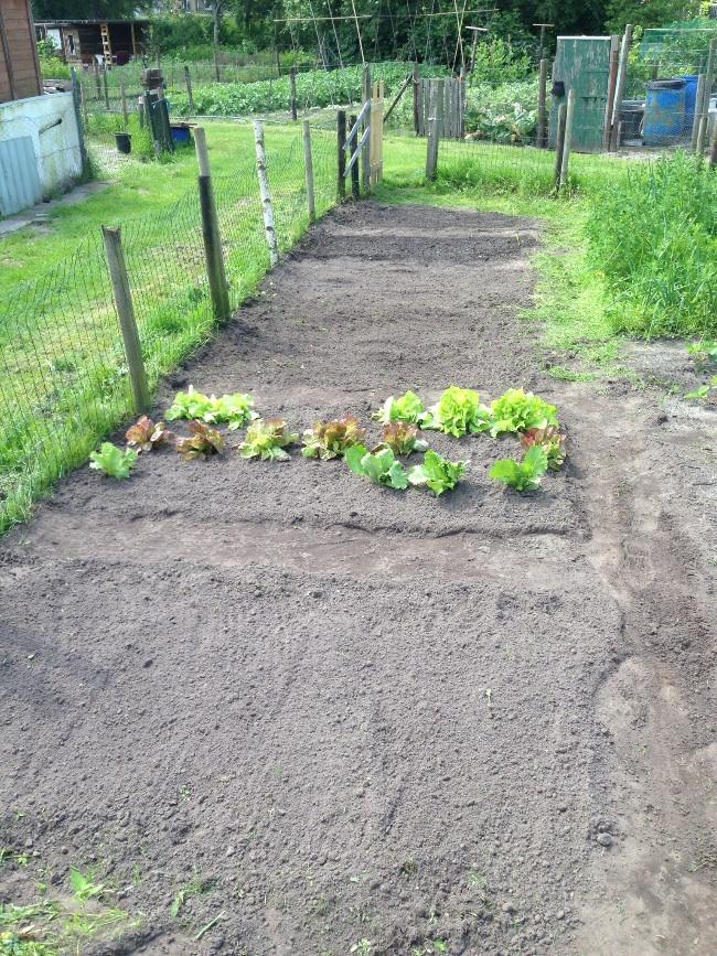 image38211401634225.jpg