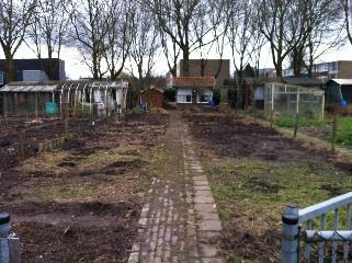 image41321391612141.jpg