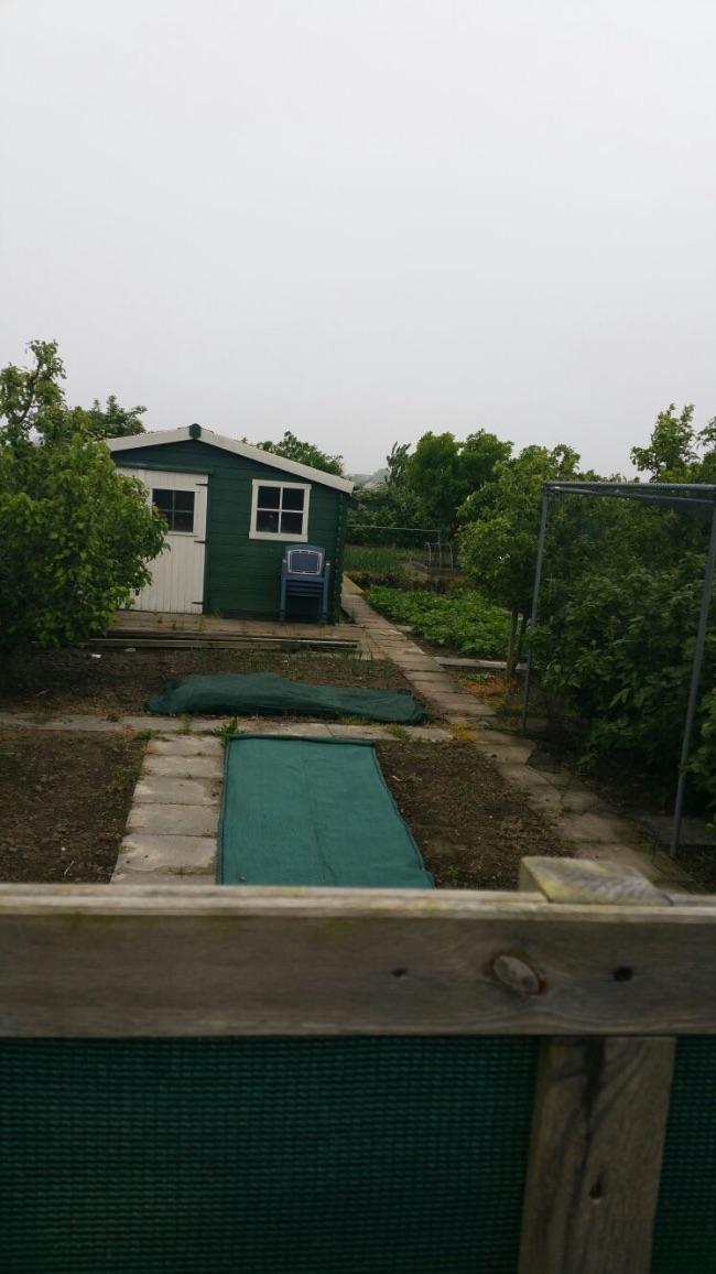 image43151468358617.jpeg