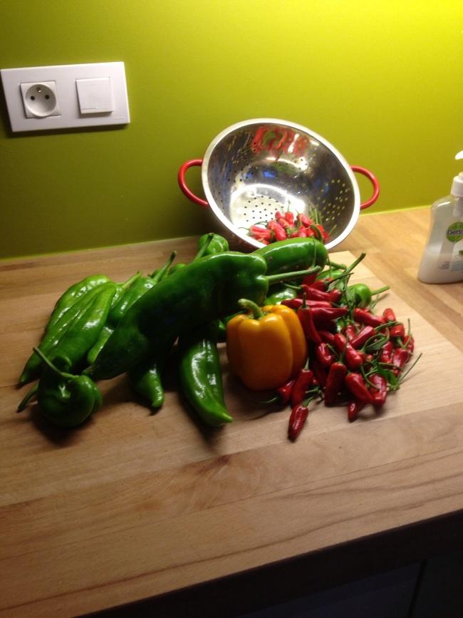 image44971388348266.jpg