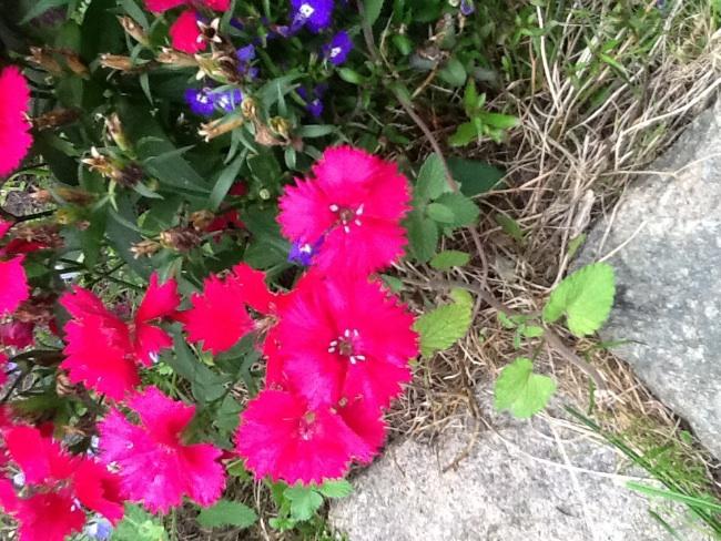 image49891381306599.jpg