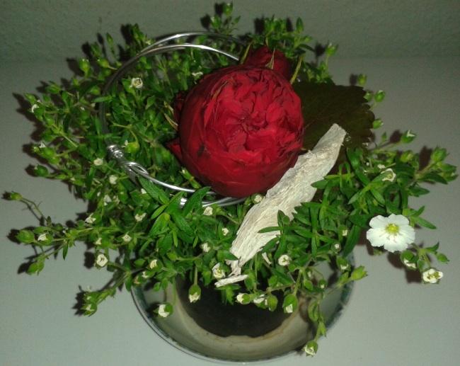 image53951403185573.jpg