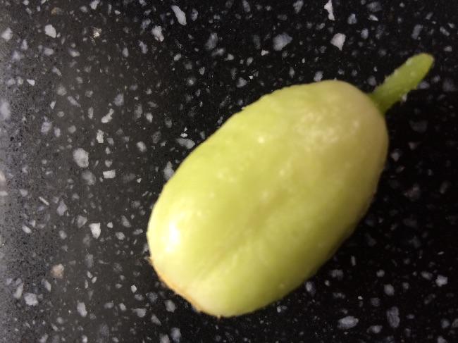 image54691467621826.jpeg