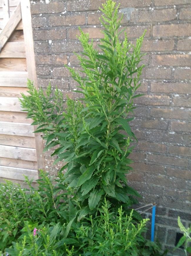 image57041376249594.jpg
