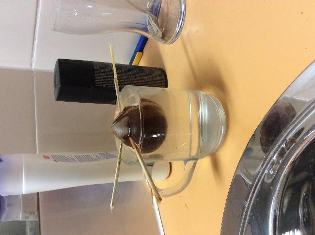 image61101422968931.jpg