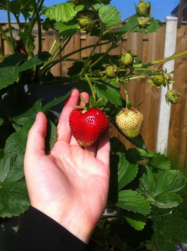 image61291437065489.jpg