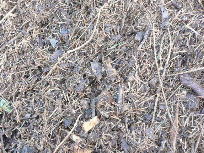 image61761387022989.jpg