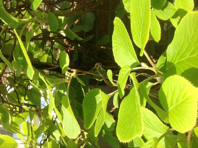 image62401398153843.jpg