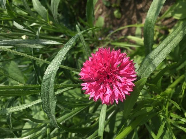 image62761499249267.jpg
