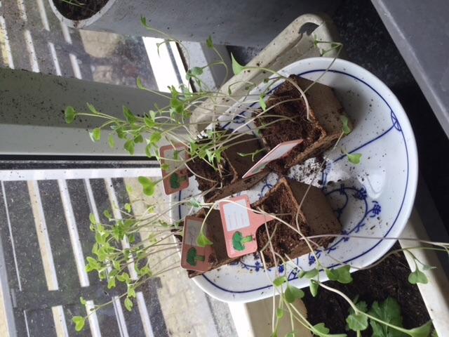 image65381461014791.jpeg