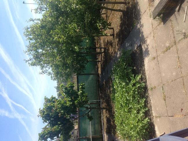 image66061468358620.jpeg