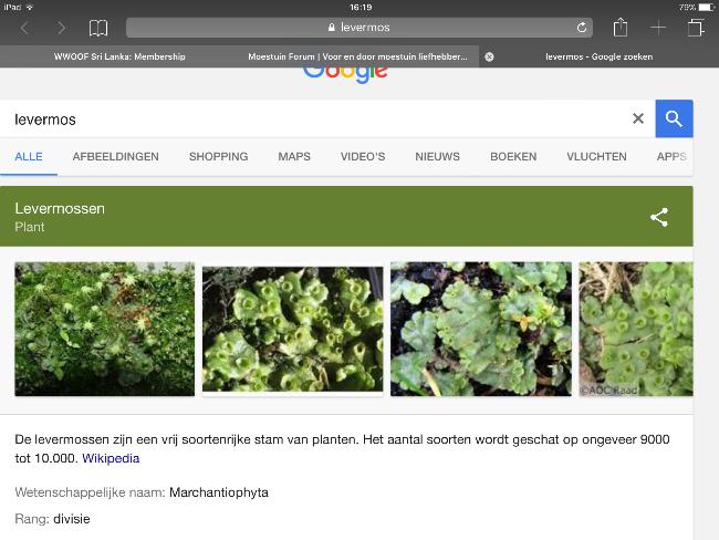 image66601472653209.png