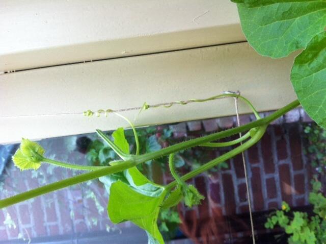 image67791403039561.jpg