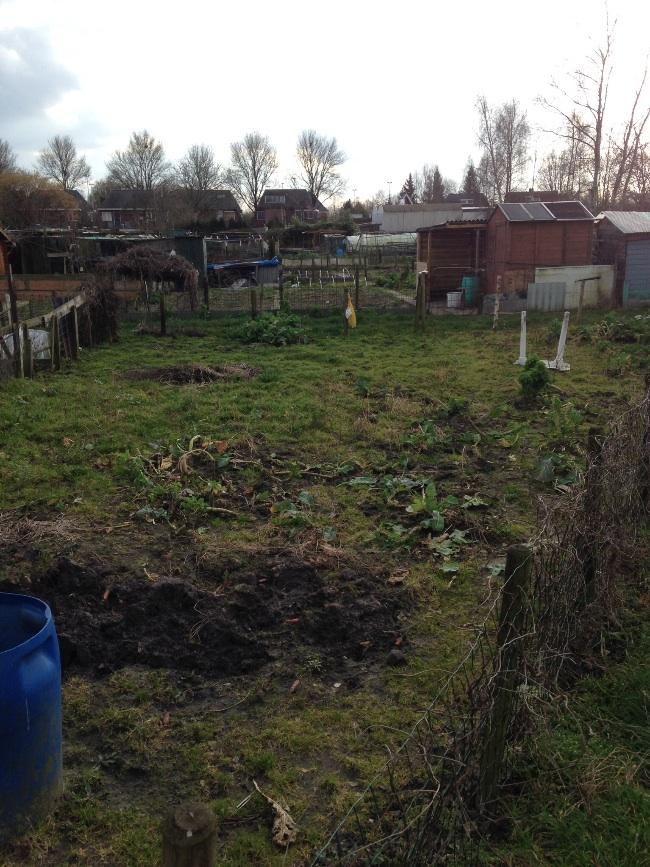 image67951393534899.jpg