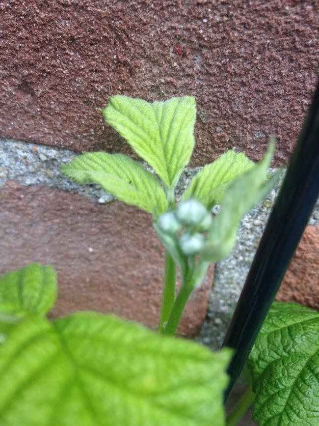 image69281397080946.jpg