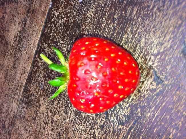 image69771399574981.jpg
