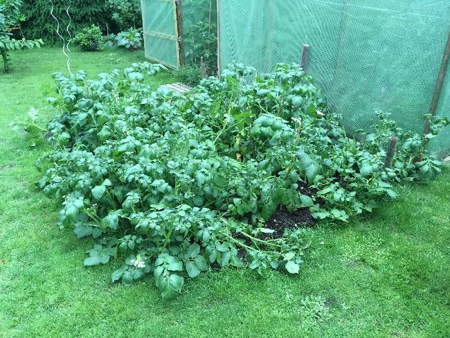 image69861527869704.jpg