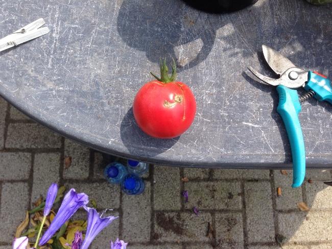 image70711405593916.jpg