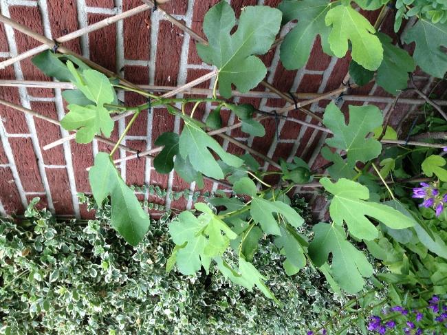 image71461378885229.jpg